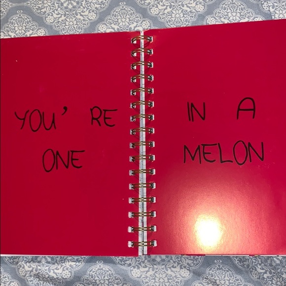 watermelon notebook - Picture 3 of 3